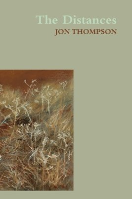 Jon Thompson - Distances, Häftad