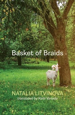 bokomslag Basket of Braids