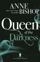 bokomslag Queen of the Darkness