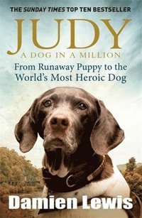 bokomslag Judy: A Dog in a Million