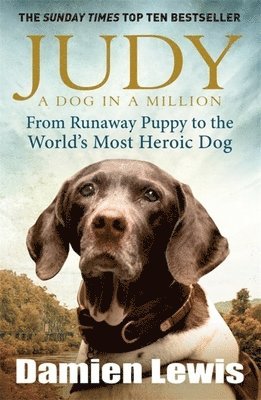bokomslag Judy: A Dog in a Million