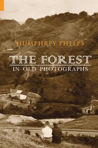 bokomslag The Forest in Old Photographs