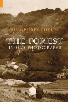The Forest in Old Photographs 1