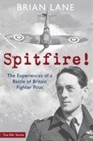 bokomslag Spitfire!