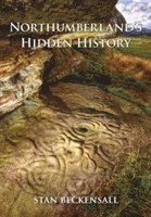bokomslag Northumberland's Hidden History