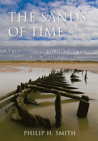 bokomslag The Sands of Time Revisited