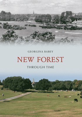 bokomslag New Forest Through Time