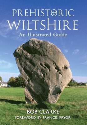 Prehistoric Wiltshire 1