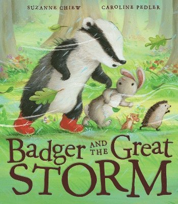 bokomslag Badger and the Great Storm