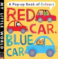 bokomslag Red Car, Blue Car