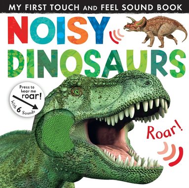 Jonathan Litton - Noisy Dinosaurs, Kartonnage