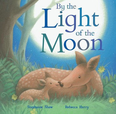 Stephanie Shaw - By the Light of the Moon, Kartonnage