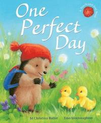 bokomslag One Perfect Day