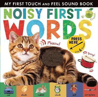 bokomslag Noisy First Words