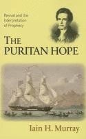 bokomslag Puritan Hope