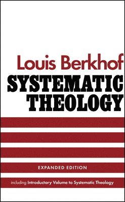 bokomslag Systematic Theology