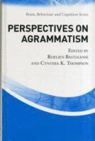 bokomslag Perspectives on Agrammatism