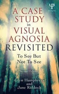 bokomslag A Case Study in Visual Agnosia Revisited