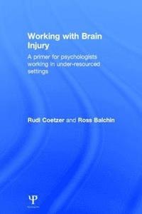 bokomslag Working with Brain Injury