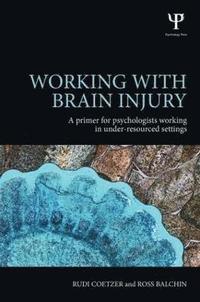 bokomslag Working with Brain Injury
