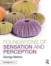 bokomslag Foundations of Sensation and Perception