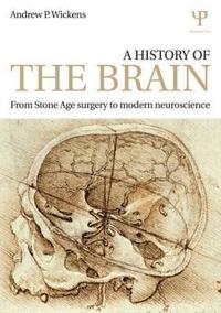 bokomslag A History of the Brain