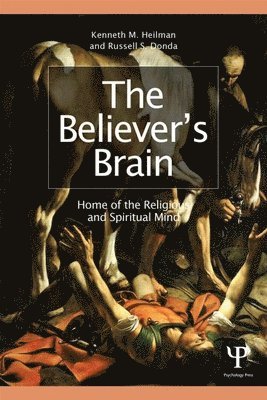 The Believer's Brain 1