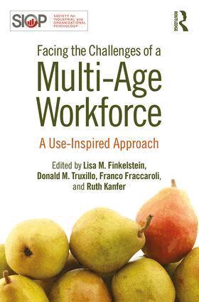 Lisa M. Finkelstein, Donald M. Truxillo, Franco Fraccaroli, Ruth Kanfer - Facing the Challenges of a Multi-Age Workforce, Häftad