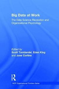 bokomslag Big data at work - the data science revolution and organizational psycholog