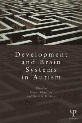 bokomslag Development and Brain Systems in Autism