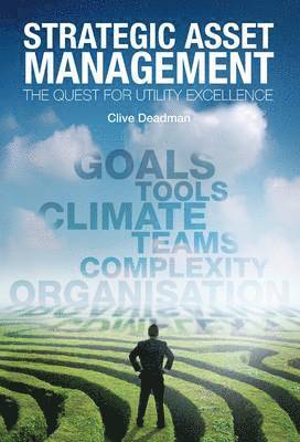 bokomslag Strategic Asset Management