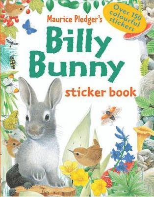 bokomslag Billy Bunny Sticker Book