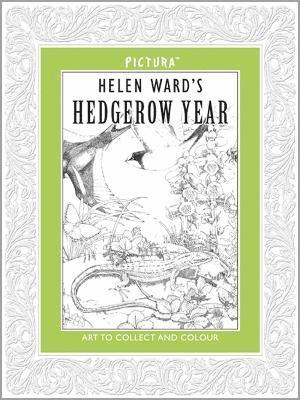 Pictura: Hedgerow Year 1