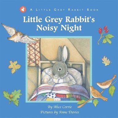 bokomslag Little Grey Rabbit's Noisy Night