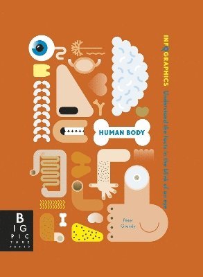 bokomslag Infographics: Human Body