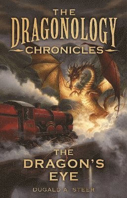 Dugald Steer - Dragon's Eye, Häftad