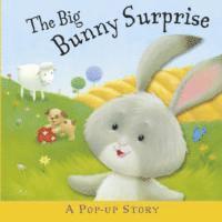 bokomslag The Big Bunny Surprise