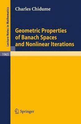 bokomslag Geometric Properties of Banach Spaces and Nonlinear Iterations