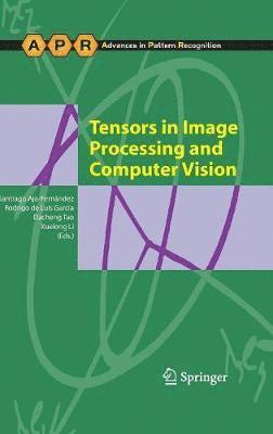 Santiago Aja-Fernández, Rodrigo de Luis Garcia, Dacheng Tao, Xuelong Li - Tensors in Image Processing and Computer Vision, Inbunden