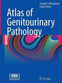 bokomslag Atlas of Genitourinary Pathology