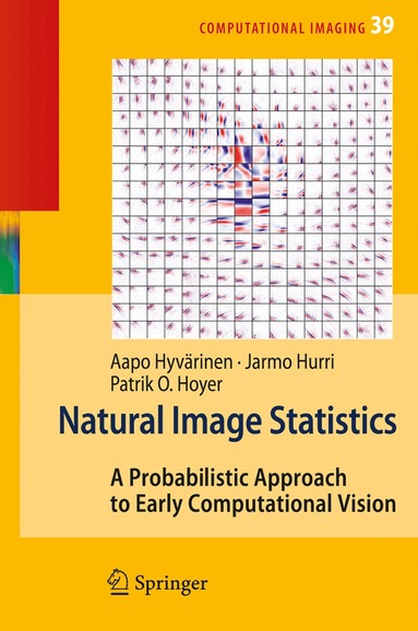 bokomslag Natural Image Statistics