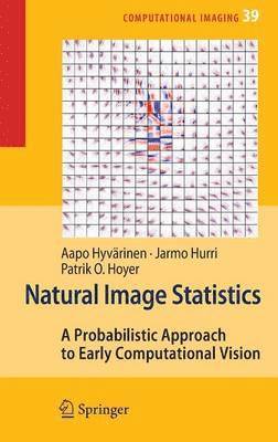 Aapo Hyvärinen, Jarmo Hurri, Patrick O. Hoyer - Natural Image Statistics, Inbunden
