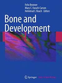 bokomslag Bone and Development
