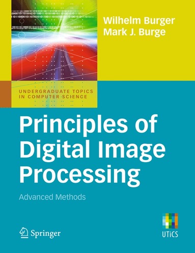 Wilhelm Burger, Mark J. Burge - Principles of Digital Image Processing, Häftad