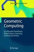 Geometric Computing