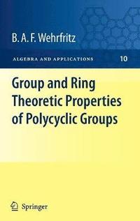 bokomslag Group and Ring Theoretic Properties of Polycyclic Groups
