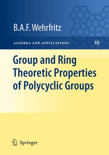 B.A.F. Wehrfritz - Group and Ring Theoretic Properties of Polycyclic Groups, Inbunden