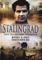 bokomslag Stalingrad: How the Red Army Triumphed