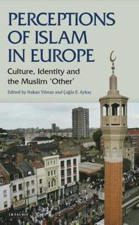 bokomslag Perceptions of Islam in Europe