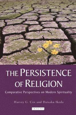 bokomslag The Persistence of Religion: Comparative Perspectives on Modern Spirituality
